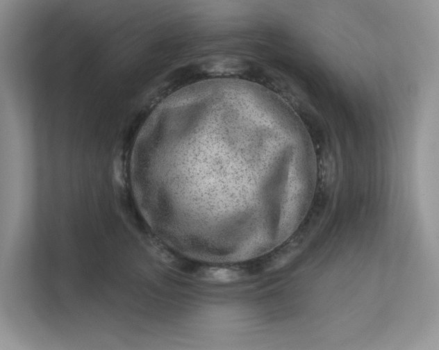 X0000113280755200909280951