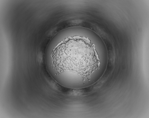 X0000113280758200909280952