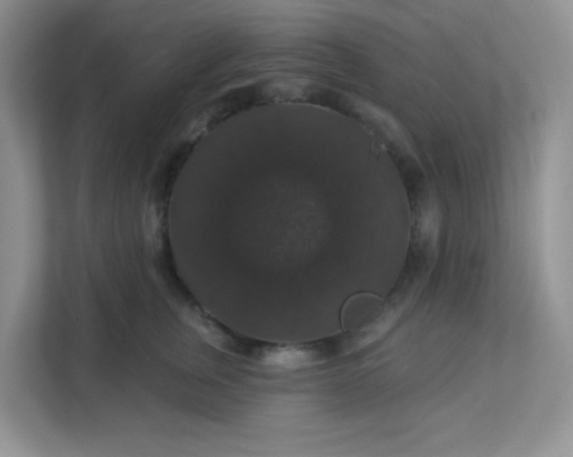 X0000113280759200909280952