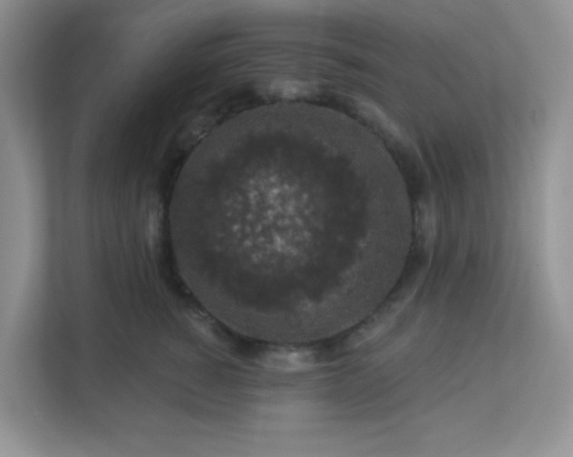 X0000113280760200909280952