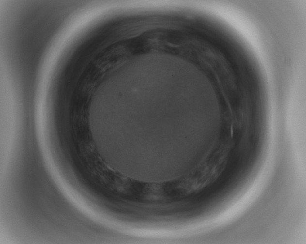 X0000113280766200909280952