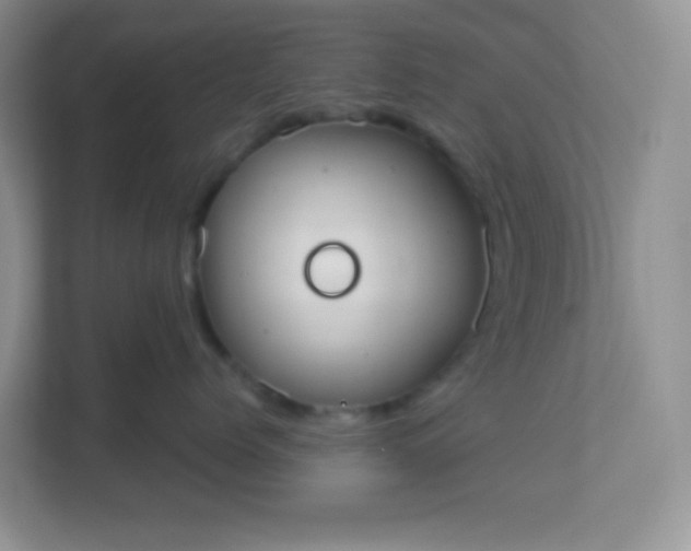 X0000113280768200909280952