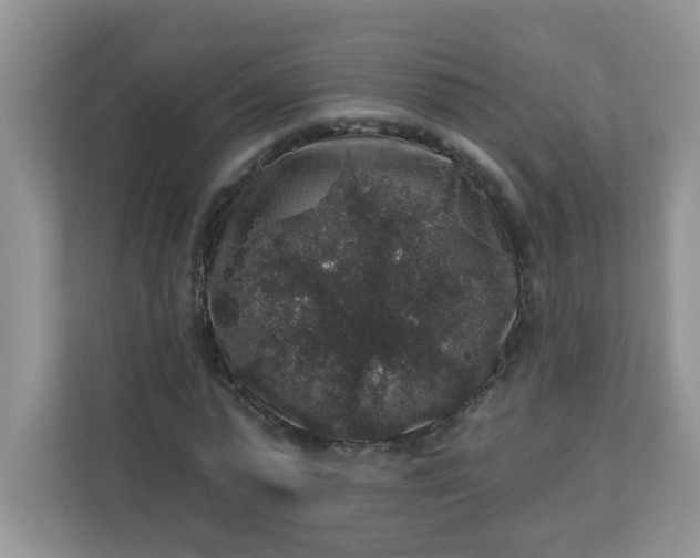 X0000113280775200909280951