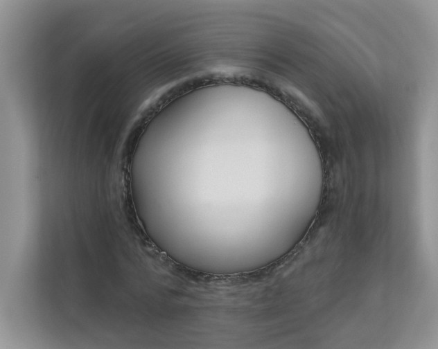 X0000113280776200909280951