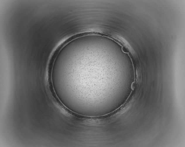 X0000113280780200909280951