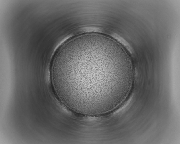 X0000113280782200909280951