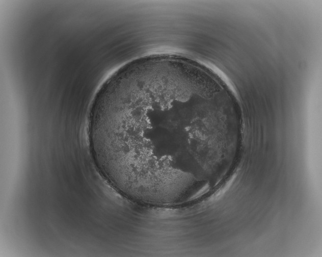 X0000113280783200909280951