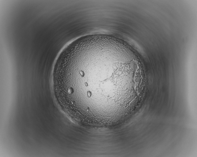 X0000113280784200909280951