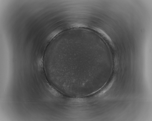 X0000113280785200909280951