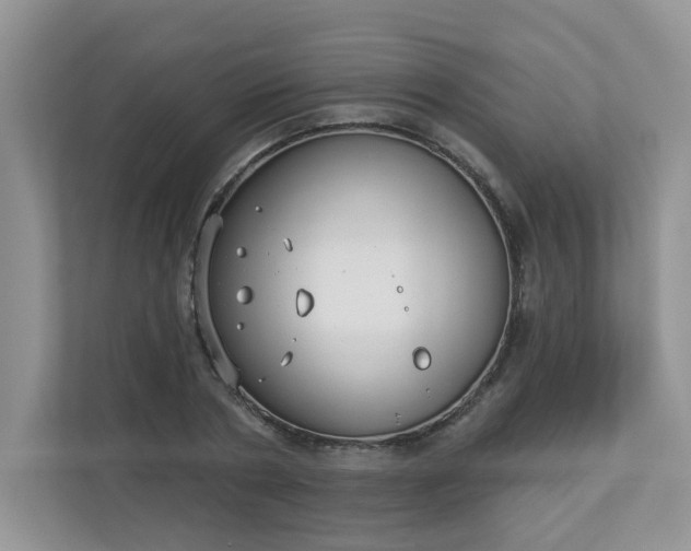 X0000113280786200909280951