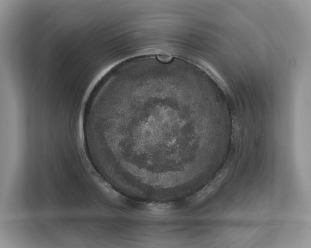 X0000113280788200909280951