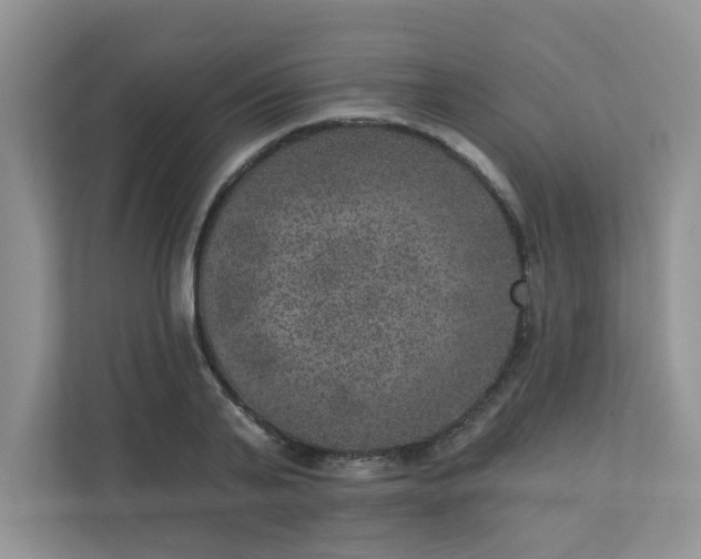 X0000113280791200909280951