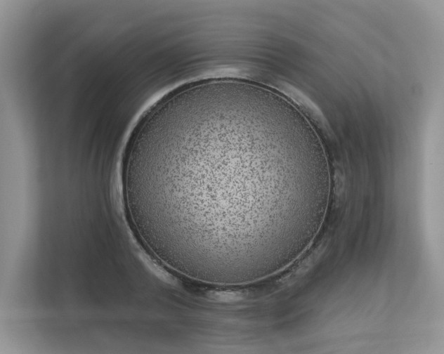 X0000113280792200909280951