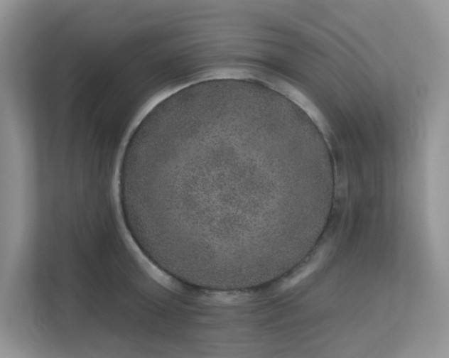 X0000113280803200909280951