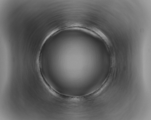 X0000113280806200909280951