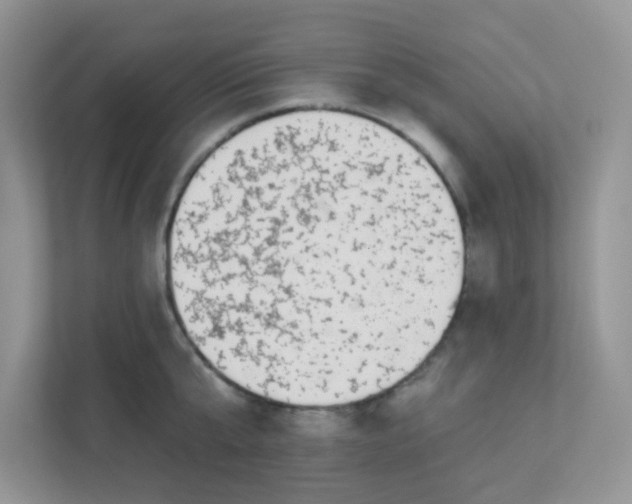 X0000113280807200909280951