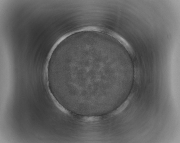 X0000113280808200909280951