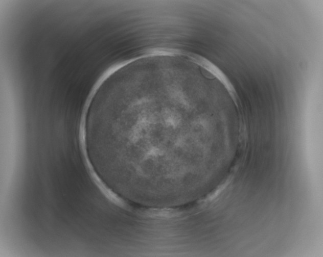 X0000113280811200909280950