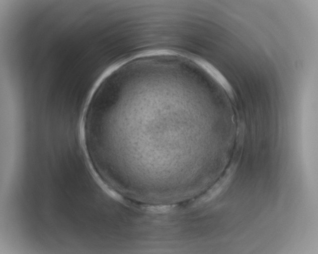 X0000113280813200909280950