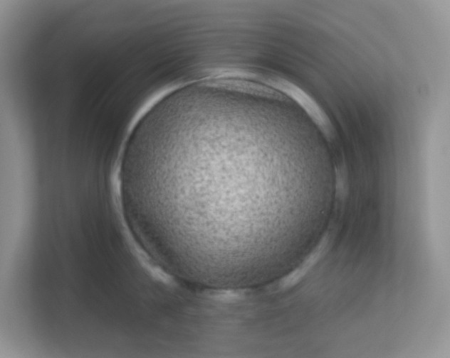 X0000113280814200909280950