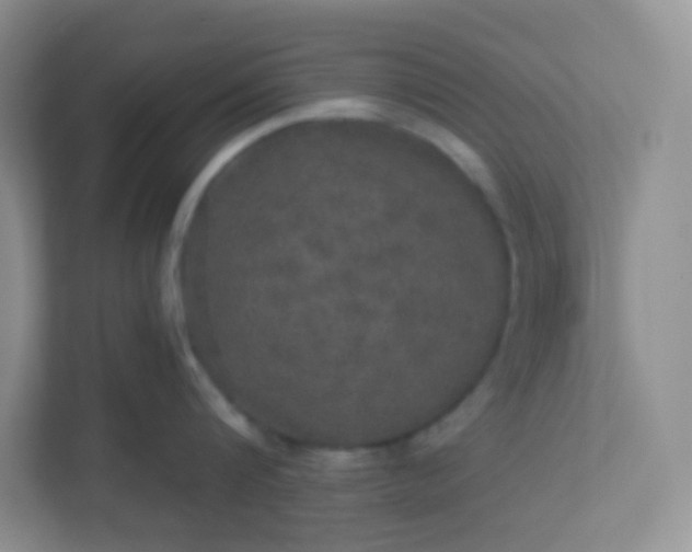 X0000113280816200909280950