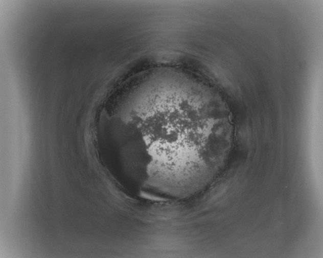 X0000113280817200909280950