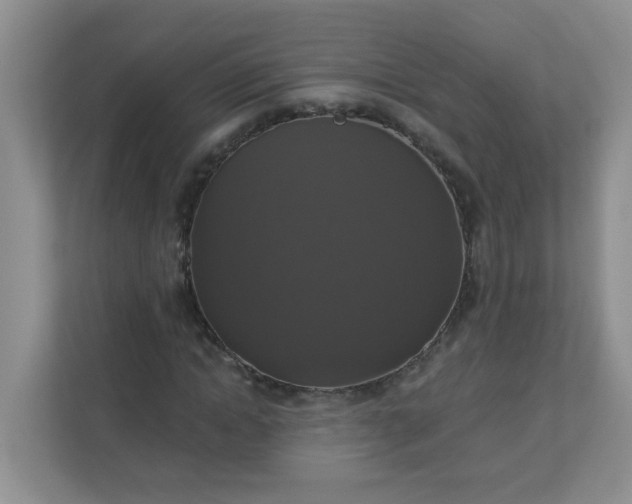 X0000113280822200909280950