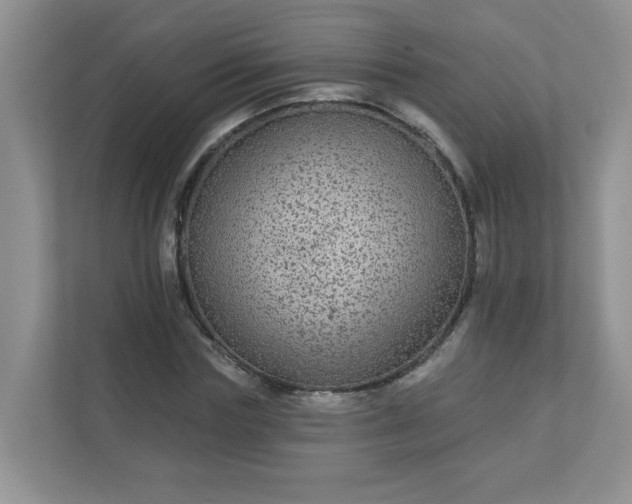 X0000113280827200909280950