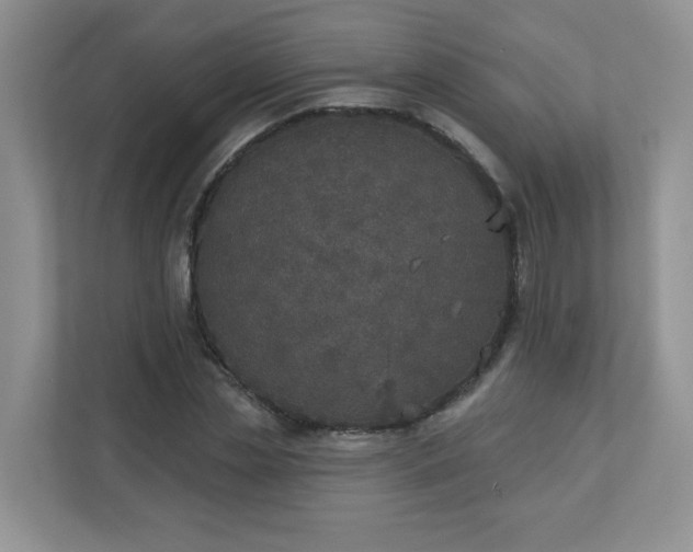 X0000113280829200909280950