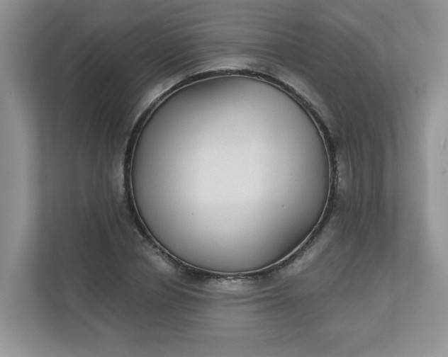 X0000113280834200909280950