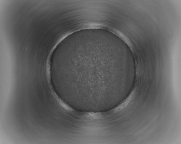 X0000113280835200909280950