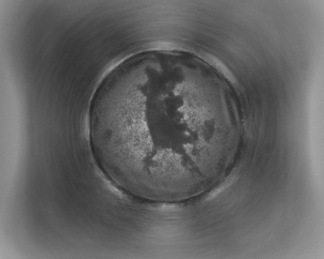 X0000113280839200909280950