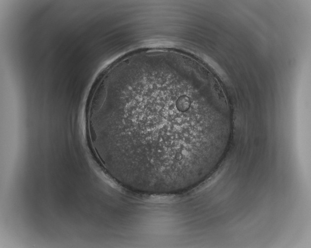 X0000113280840200909280950