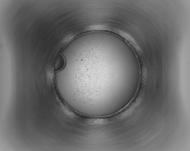 X0000113280841200909280950