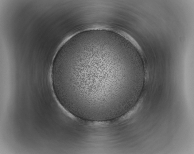 X0000113280847200909280950