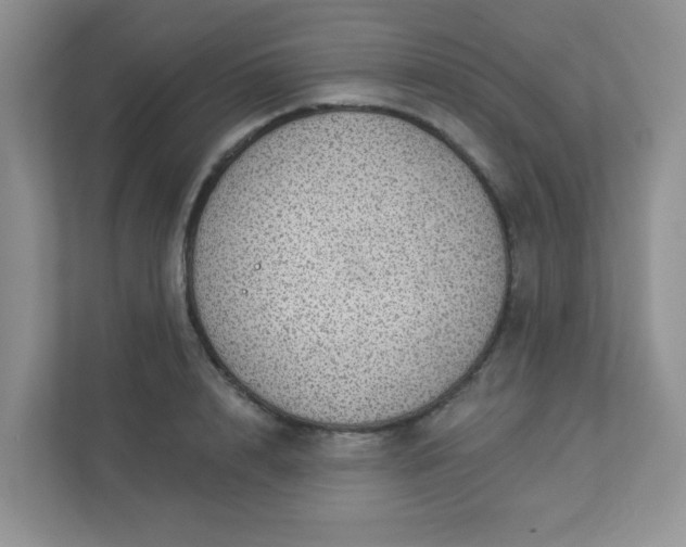 X0000113280848200909280950