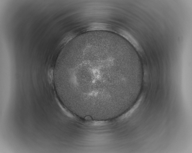 X0000113280849200909280950