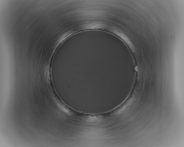 X0000113280850200909280950