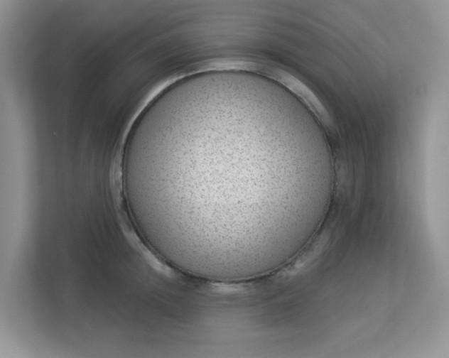 X0000113280852200909280950