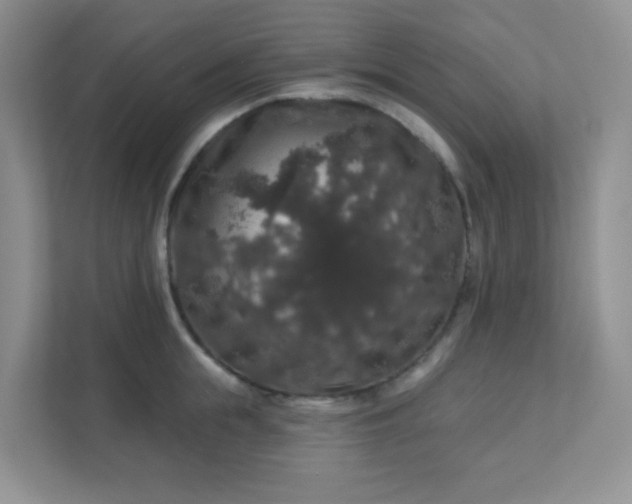 X0000113280855200909280950