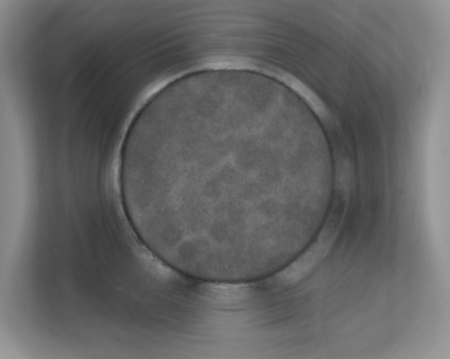 X0000113280856200909280950