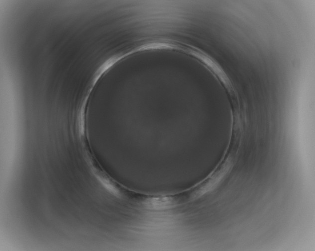 X0000113280858200909280950