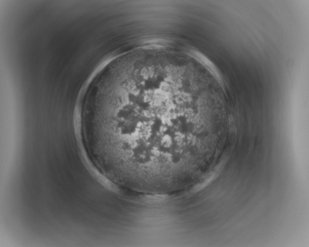 X0000113280859200909280950