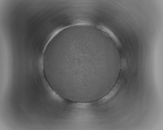 X0000113280860200909280950