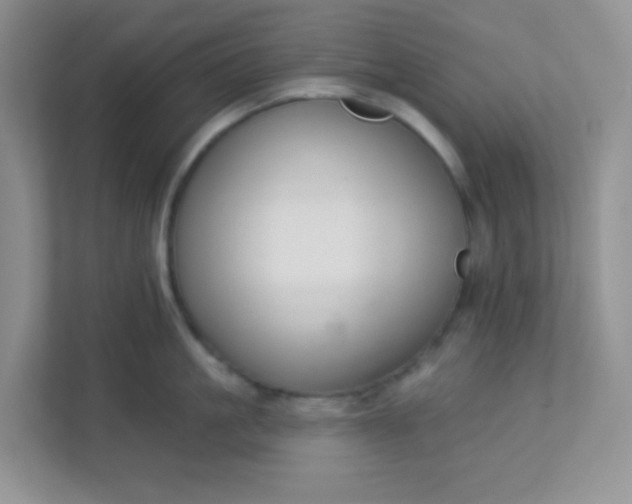 X0000113280861200909280950