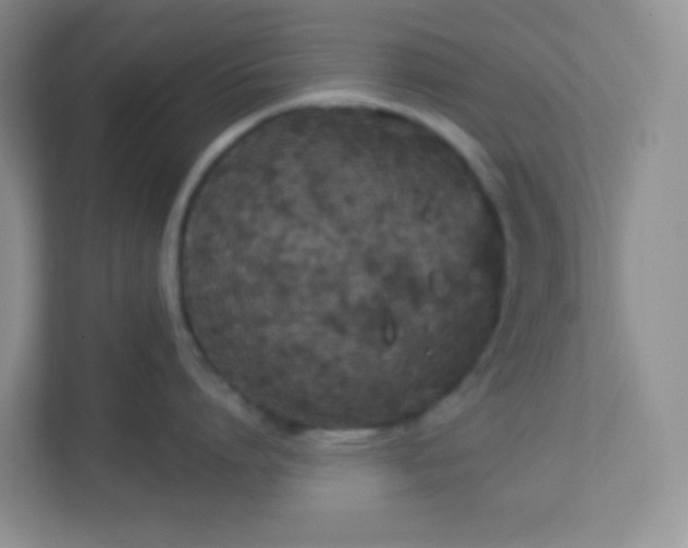 X0000113280864200909280950