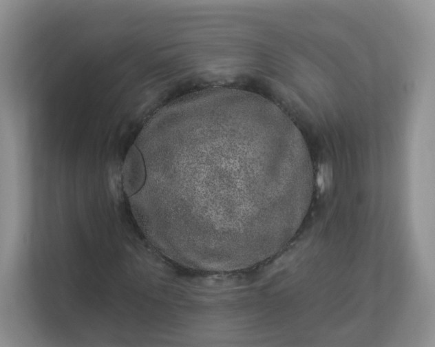 X0000113280867200909280950