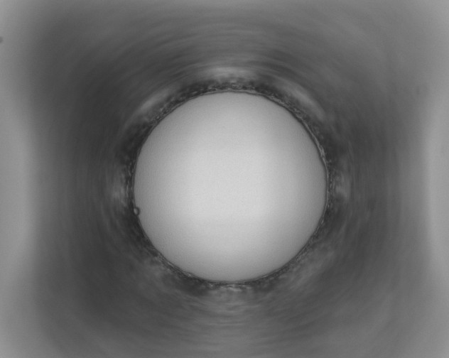 X0000113280869200909280950