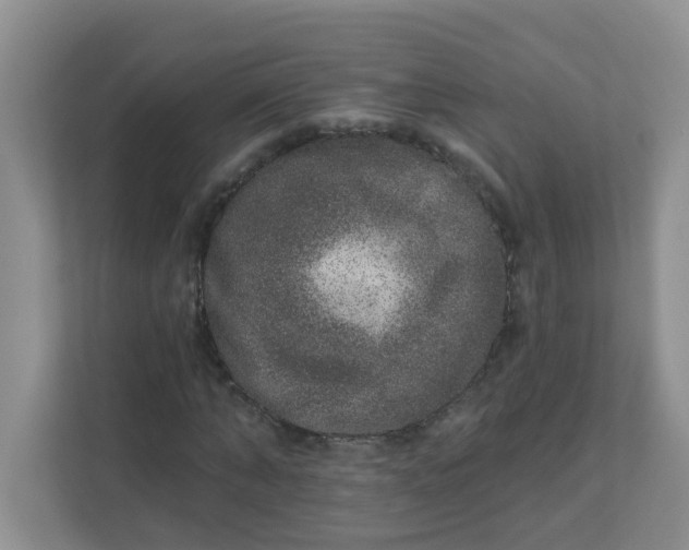 X0000113280870200909280950