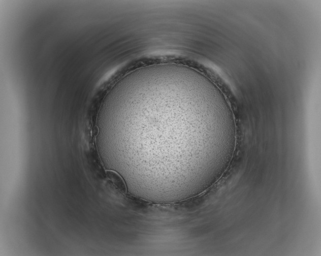 X0000113280871200909280950